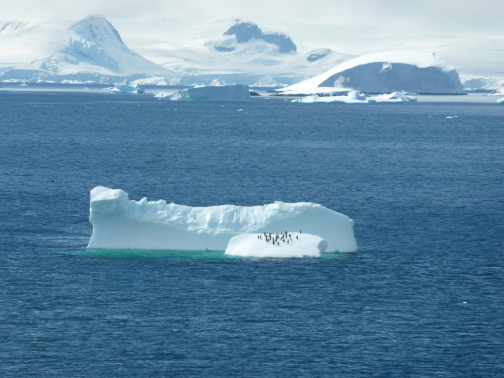 Antartica Travel